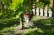 DSC_0451.JPG