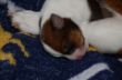 DSC_0623.JPG