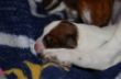 DSC_0651.JPG