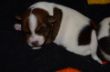 DSC_0684.JPG