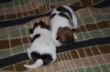 DSC_0712.JPG
