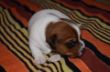 DSC_0739.JPG