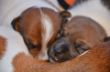 DSC_0788.JPG