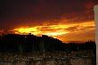 DSC00135.JPG