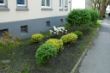 DSC00001.JPG