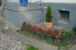 DSC00017.JPG