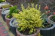 DSC00023.JPG