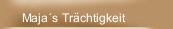 Maja´s Trächtigkeit
