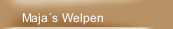 Maja´s Welpen
