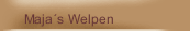 Maja´s Welpen